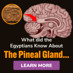 Pineal XT Product